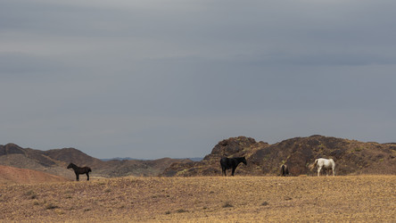 Similar image 22340605