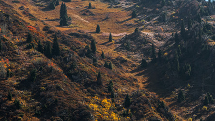 Similar image 22340606