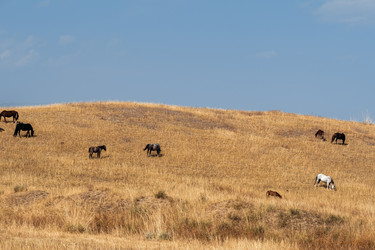 Similar image 22340328