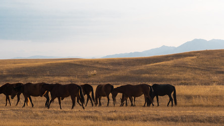 Similar image 22340329