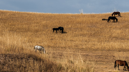 Similar image 22340330