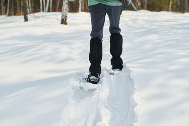 Similar image 22342500