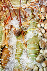 Similar image 22340784