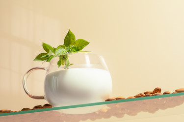 Similar image 22340791