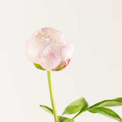 Similar image 22340801