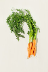 Similar image 22340808