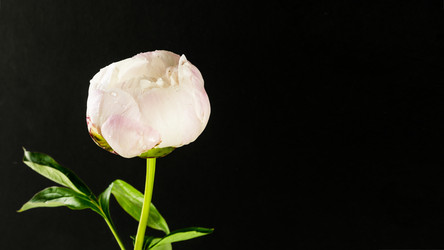 Similar image 22340834