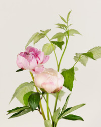 Similar image 22340835