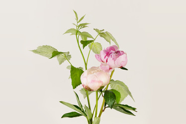 Similar image 22340836