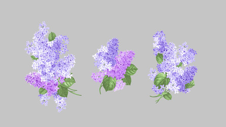 Similar image 22340846