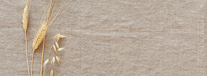 Similar image 22340857