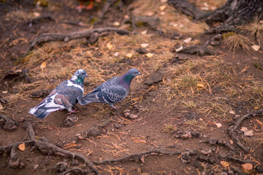 Similar image 22347366