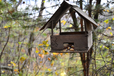 Similar image 22347368