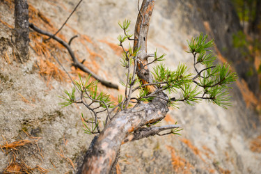 Similar image 22347369