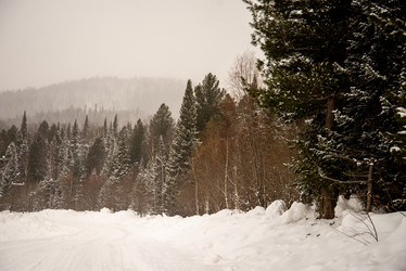 Similar image 22347372