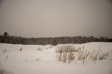 Similar image 22347373