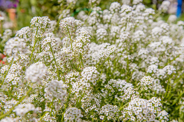 Similar image 22347384