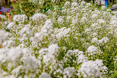 Similar image 22347385