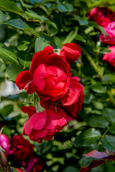 Similar image 22347391