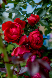 Similar image 22347392