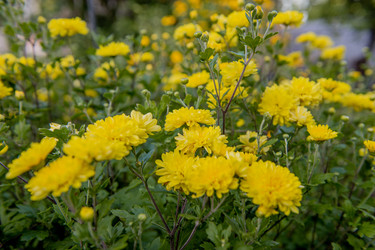 Similar image 22347395