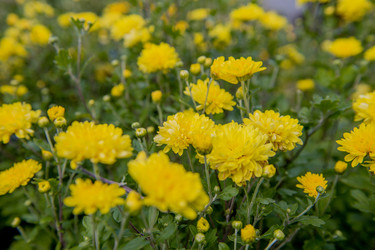 Similar image 22347399