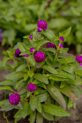 Similar image 22347403