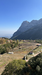 Similar image 22335139