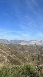 Similar image 22335160