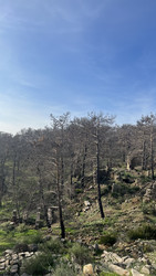 Similar image 22335161