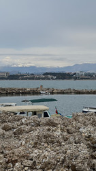 Similar image 22335171