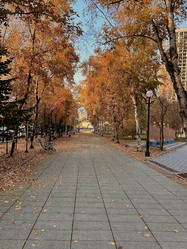 Similar image 22347405