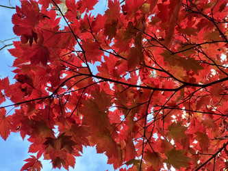 Similar image 22347406