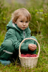 Similar image 22338949