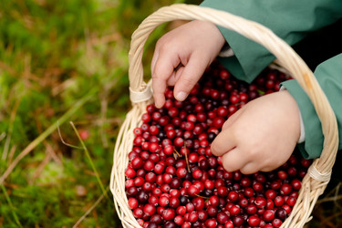 Similar image 22338950