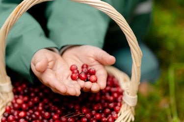 Similar image 22338951