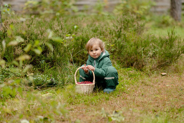 Similar image 22338952