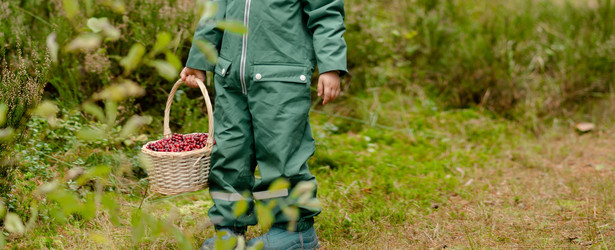 Similar image 22338953