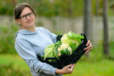 Similar image 22338962