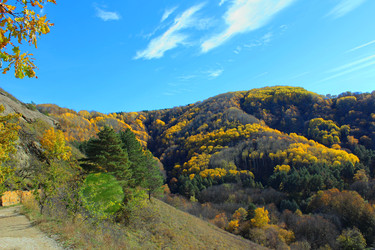 Similar image 22341966