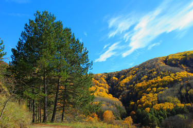 Similar image 22341967