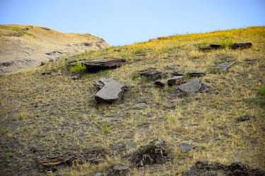 Similar image 22347288