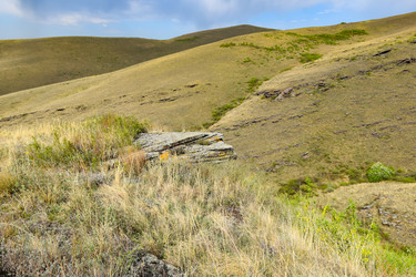 Similar image 22347292