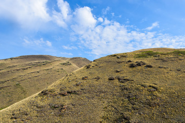 Similar image 22347295