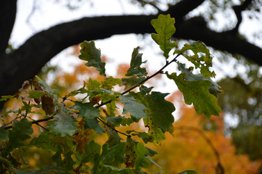 Similar image 22338380