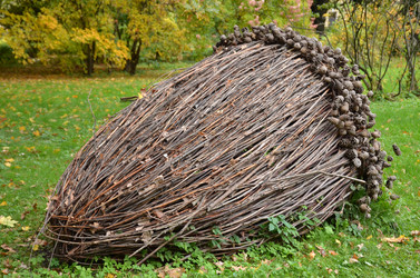 Similar image 22338381