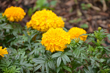 Similar image 22338382