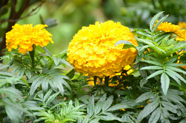 Similar image 22338383