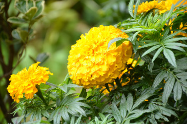 Similar image 22338384