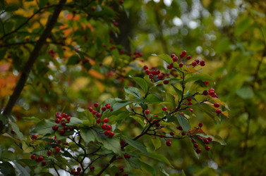 Similar image 22338386